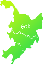 品牌策略与视觉设计完美融合，必博引领互联网创新。