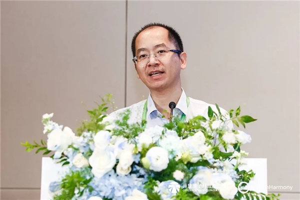 OpenHarmony项目群技术指导委员会2024年中务虚研讨会圆满落幕(图2)