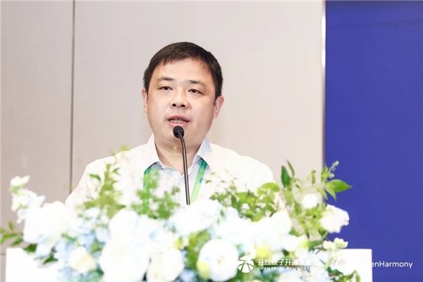 OpenHarmony项目群技术指导委员会2024年中务虚研讨会圆满落幕(图4)