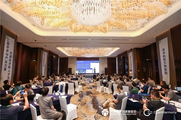 OpenHarmony项目群技术指导委员会2024年中务虚研讨会圆满落幕(图12)