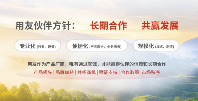 用友生态的长期主义和“雁群效应”(图4)