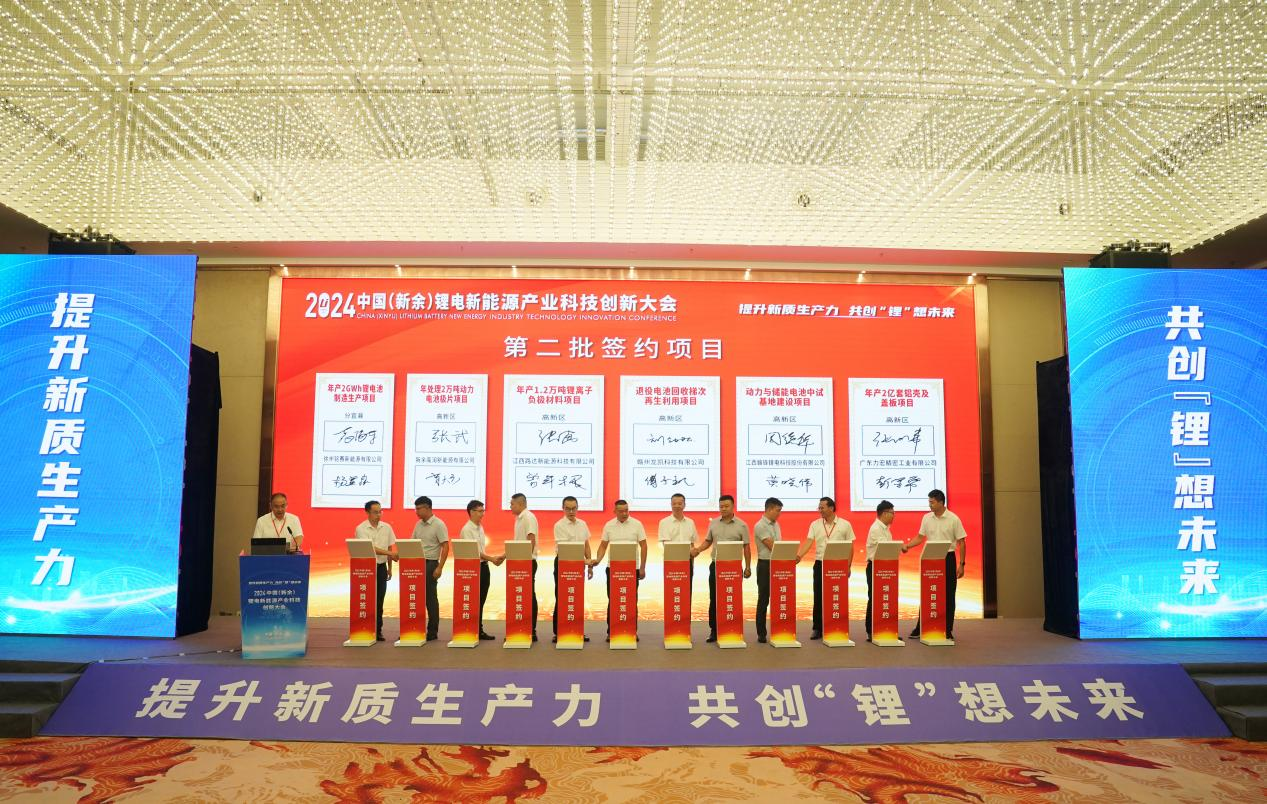 新余锂电产业基因纵深进阶：产业链向后端发展锂企加速出海(图6)