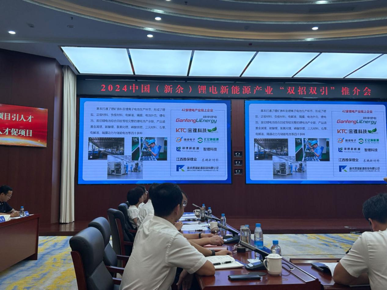 新余锂电产业基因纵深进阶：产业链向后端发展锂企加速出海(图7)