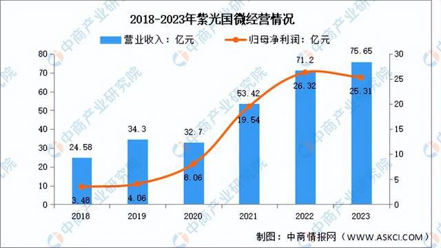 2024年中国芯片设计行业市场前景预测研究报告（简版）(图7)