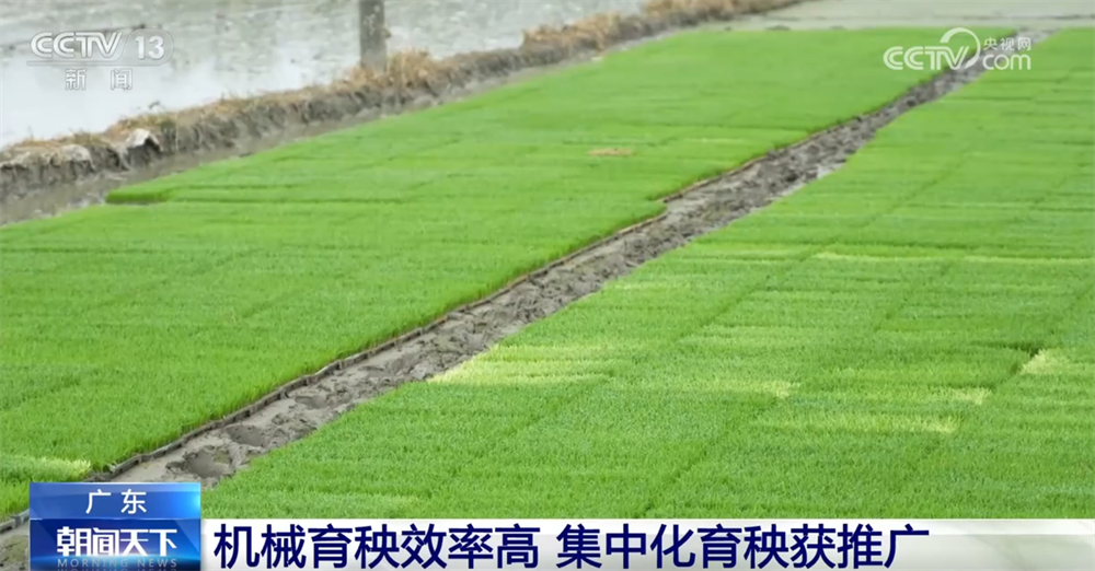 科技“春风”吹向春耕备耕田间地头多点发力端稳端牢“中国饭碗”(图6)