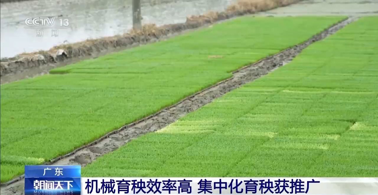 春播全面启动各地全力保障春耕农资需求(图4)