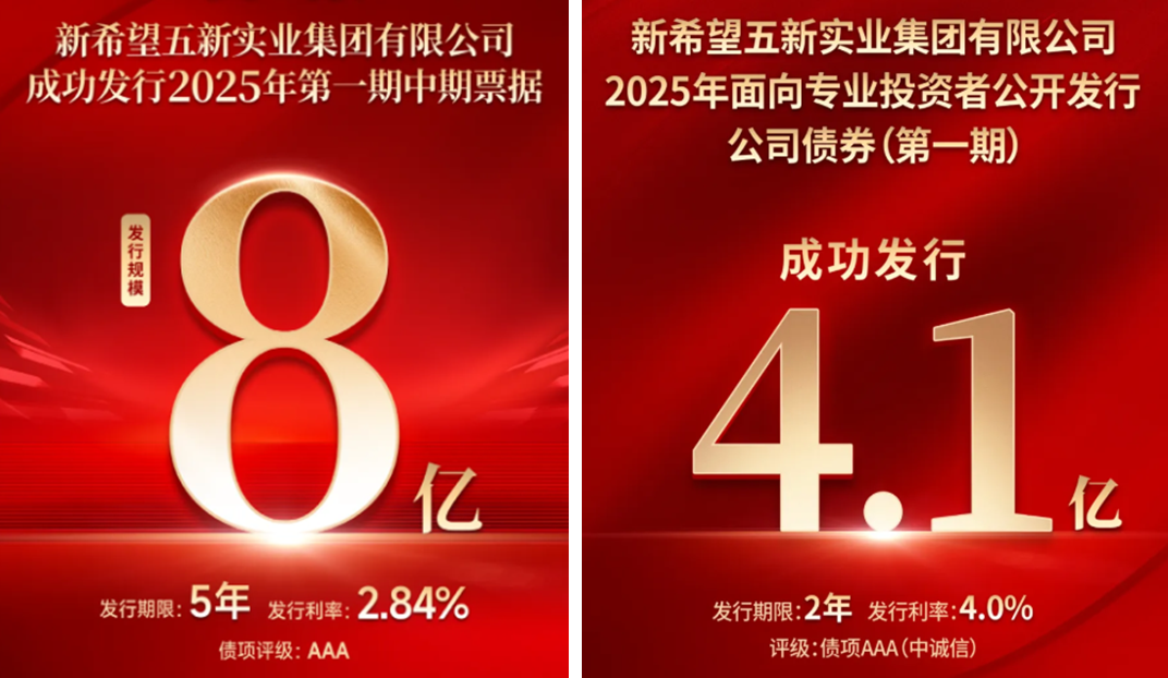 践行长期主义精研产品内功新希望地产持续锻造穿越周期的硬实力(图2)