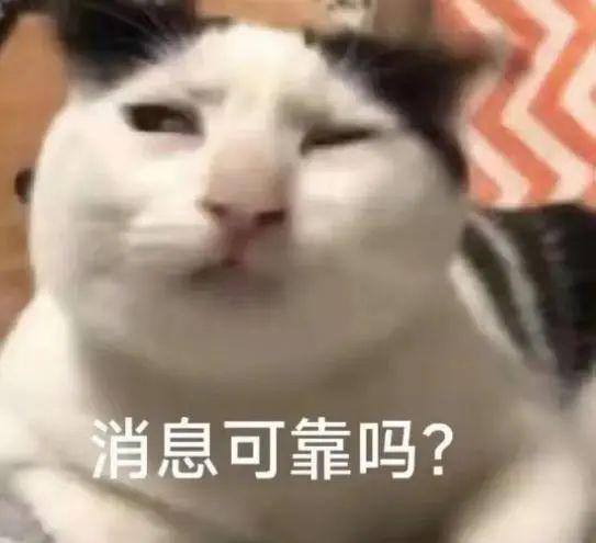 实习生月入过万DeepSeek带火的年薪百万大学专业却招不到人？(图4)