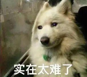 实习生月入过万DeepSeek带火的年薪百万大学专业却招不到人？(图7)
