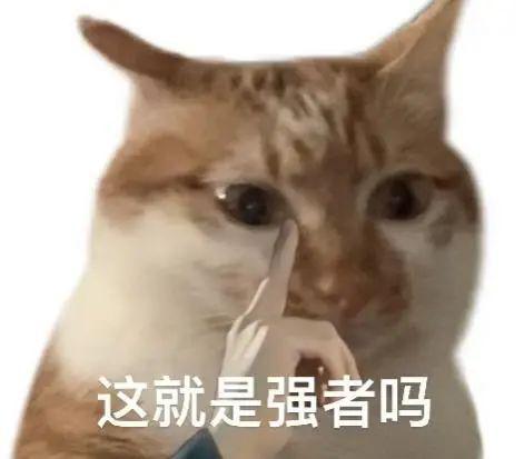 实习生月入过万DeepSeek带火的年薪百万大学专业却招不到人？(图13)