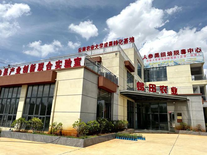 悟空八戒当年在五庄观偷吃的人参果现在居然……(图4)