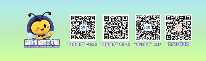 描绘新时代枫桥经验临夏画卷临夏州全面推进综治中心规范化建设实战化运行工作综述(图1)