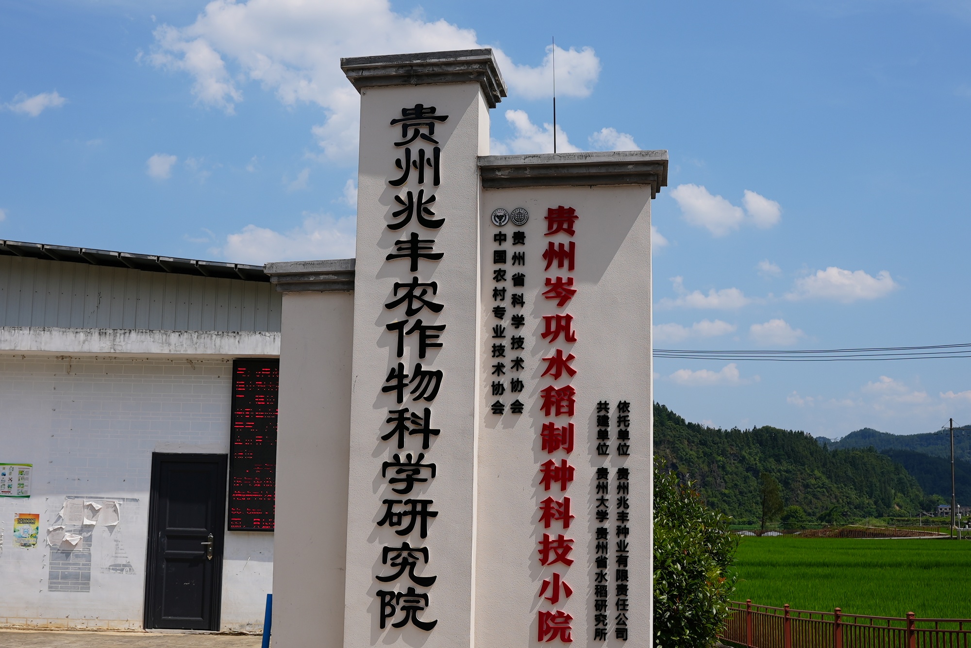 贵州岑巩：“一粒稻种”孵出亿元产业圈(图4)