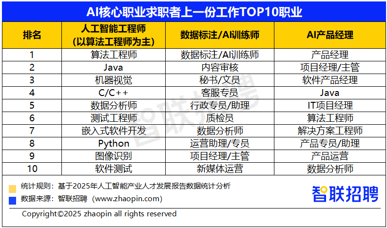 2025年人工智能产业人才发展报告(图19)