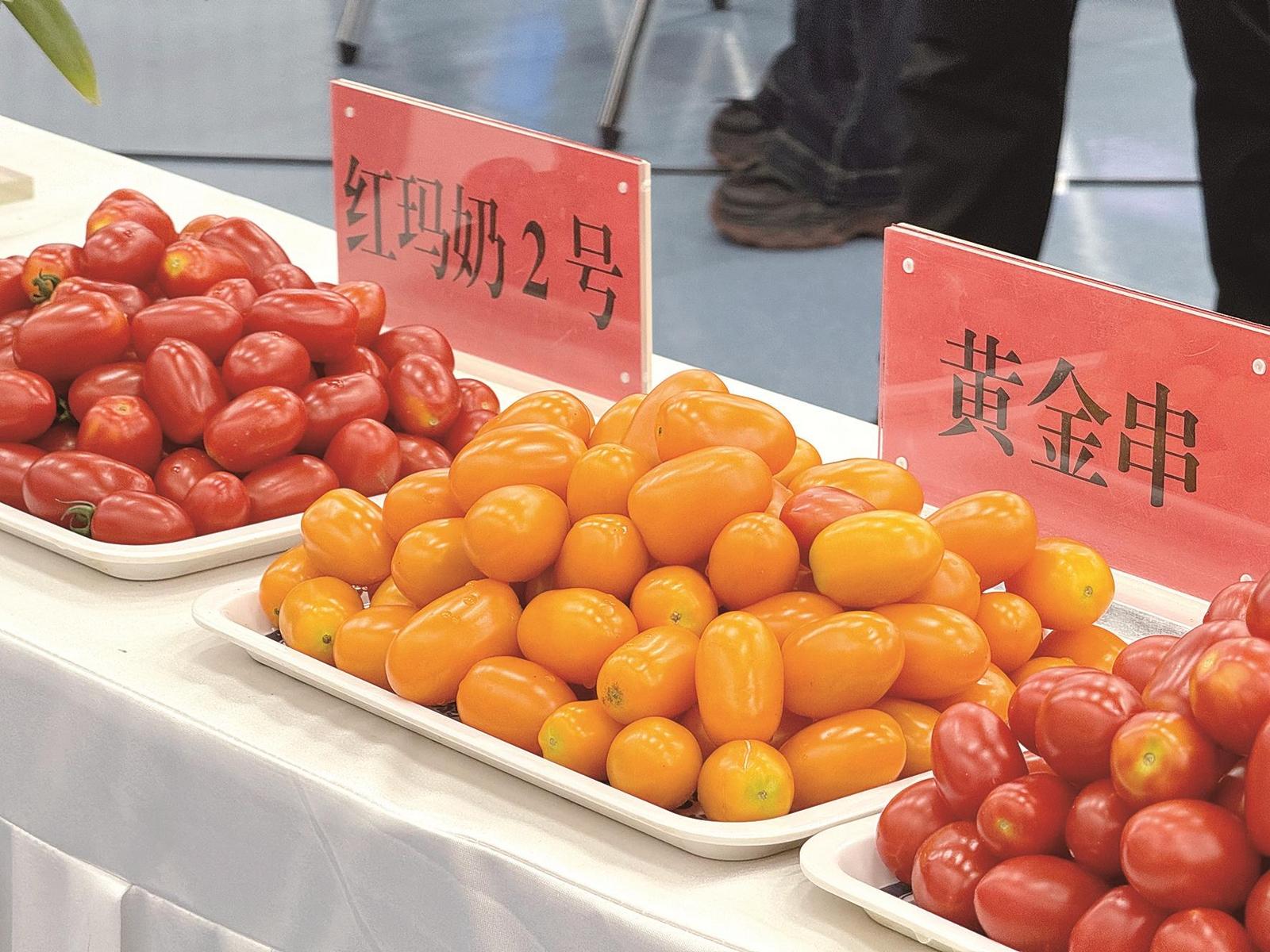 包头集中发布16项农牧业新成果