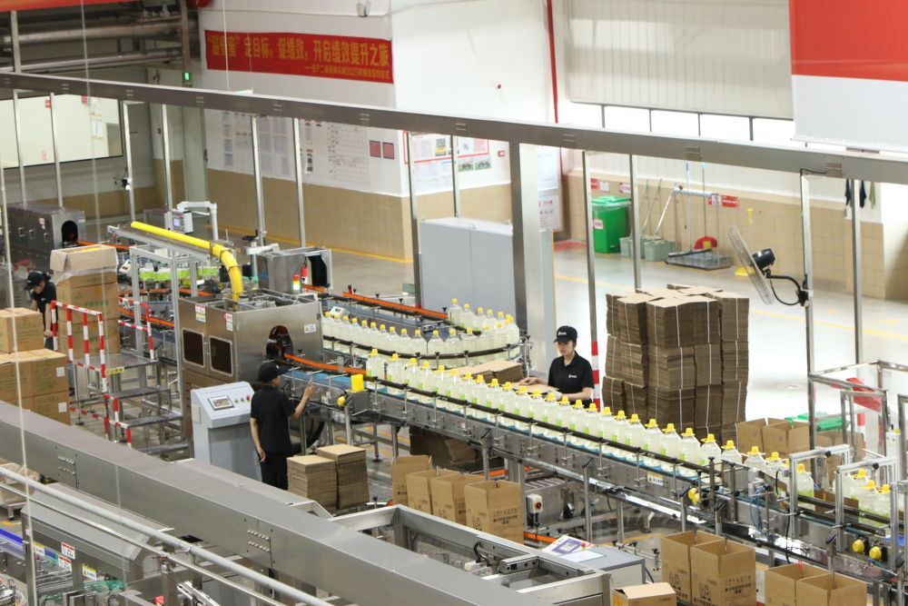 工业总产值突破800亿！崇左扶绥三座新城撑起县域经济“脊梁”