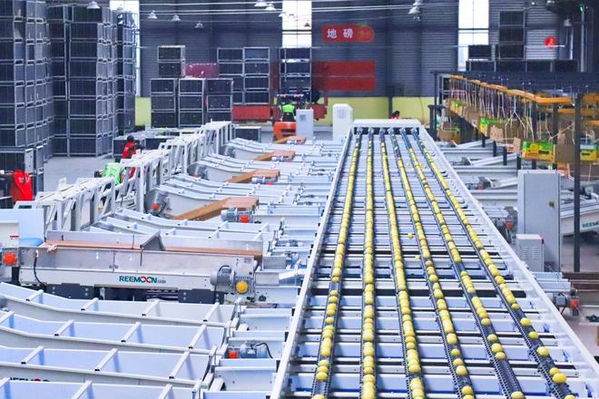 五年征程看城乡之变——安岳县“十四五”经济社会发展成就综述(图2)