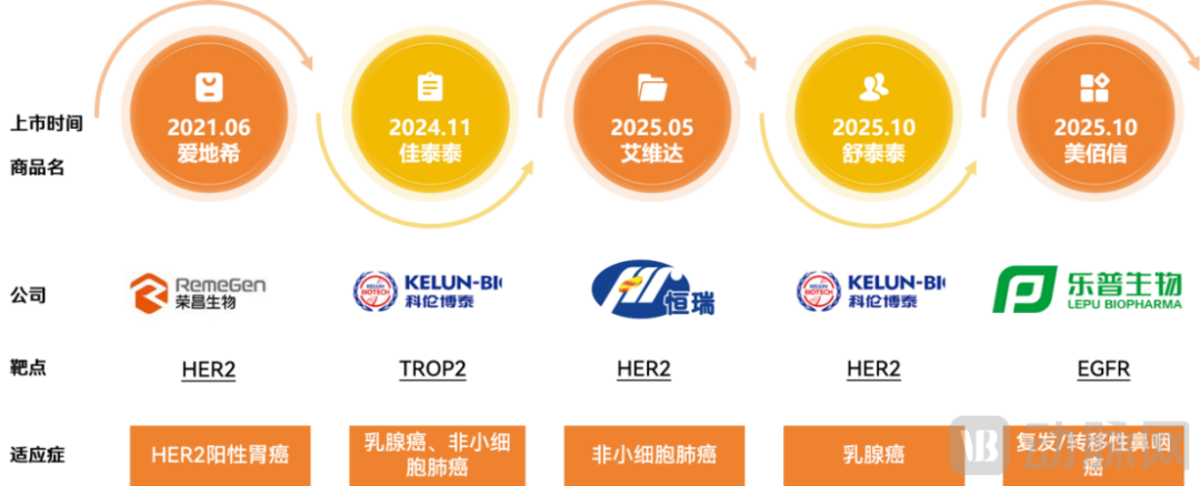 2025创新药及供应链年度创新白皮书：行业回归平台与产品价值(图11)