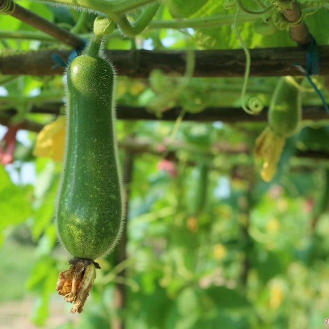 顺德成绩全省第一！全域标准化试点验收顺利通过