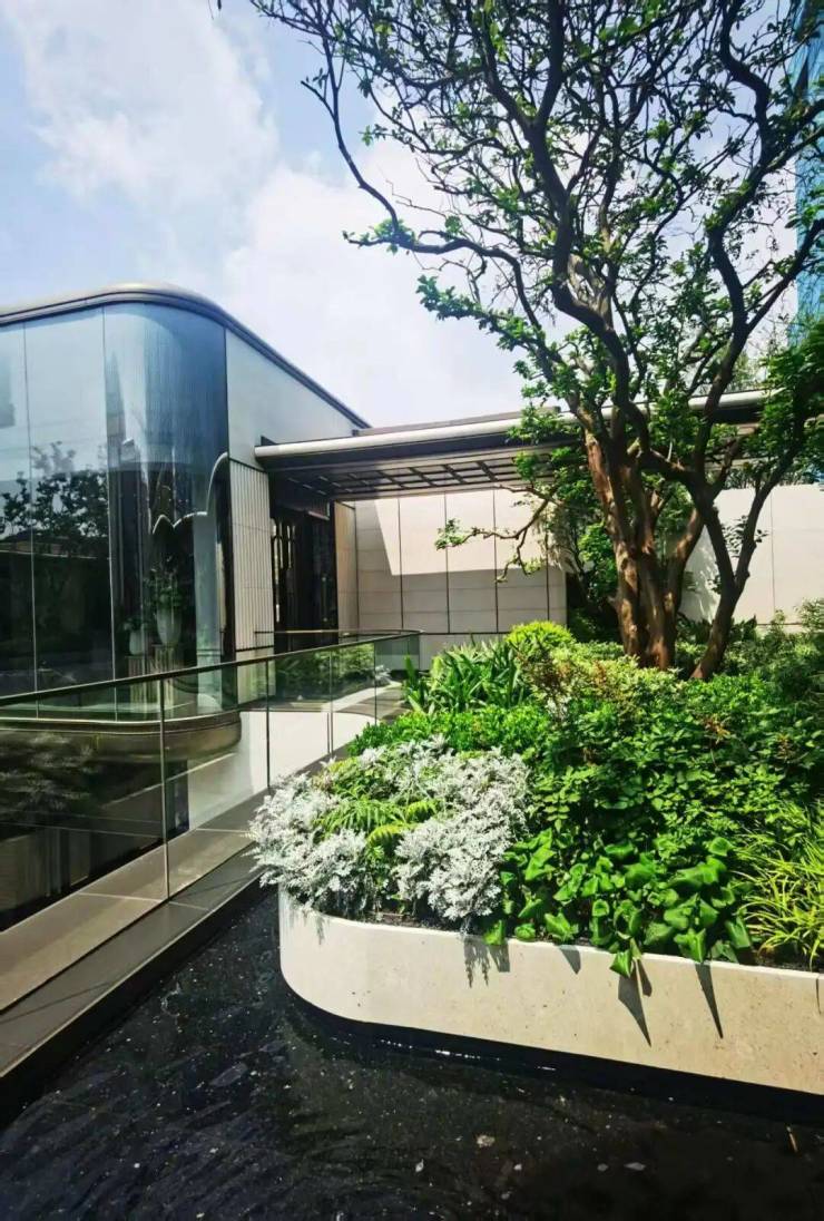 海上清和玺售楼处电话(海上清和玺)首页网站-营销中心欢迎您-楼盘详情最新价格-户型图-容积率@202645售楼处✦AI热搜(图16)