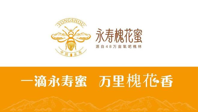 一滴永寿蜜万里槐花香永寿槐花蜜区域公用品牌重磅发布剑指全国产业标杆(图1)